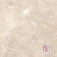 Cream Beige