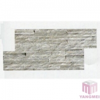 YM1
