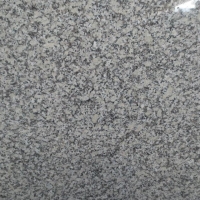G603 New