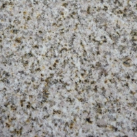 New G682 Yellow Granite