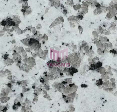 G439 White Granite